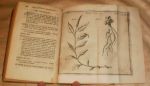 Карл Линней. Amoenitates Academicae… ( на лат. языке). Том второй.Стокгольм.1762 г.