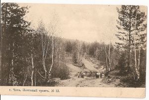 Чита.Почтовый тракт. № 13. Открытое письмо. Российская империя. Издание Д.П.Ефимова 1905 г. Фототипия Шерер, Набгольц и К., Москва.  ― Сибирскiй коллекцiонеръ