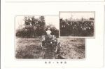 Сахалин. Вспашка поля. Японская открытка. Сахалин( Карафуто). 30-е годы.. 